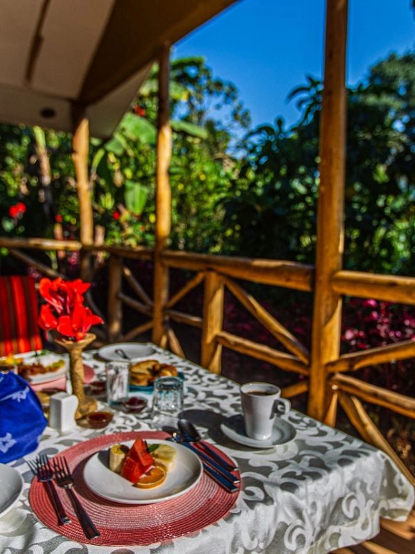 Gorilla Safari Lodge Offers Special gorilla-safari-lodge-offers-special